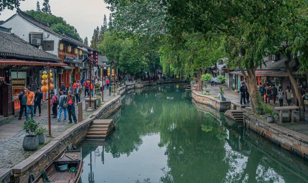 探索中国最高树上发现50余种高等植物,这项发现会带来哪些影响?——发现独特红迪网平台